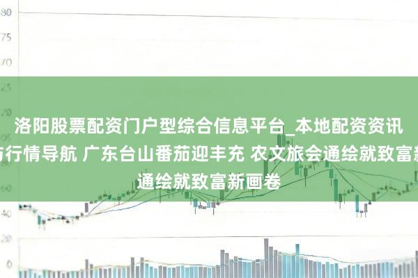 洛阳股票配资门户型综合信息平台_本地配资资讯学习与行情导航 广东台山番茄迎丰充 农文旅会通绘就致富新画卷